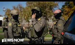 People ‘afraid to come out of homes’ as border patrol enters Charlotte, criminal or not: Strategist