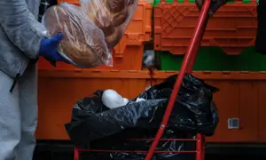 Trump Administration Demands States ‘Undo’ Work to Send Full Food Stamps