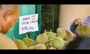 Malaysia's durian boom sours as prices plunge