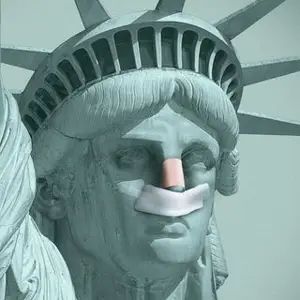 From budget-friendly Botox to luxury facelifts, America is in its heyday of plastic surgery