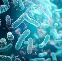 How Gut Microbes Drive Cancer Risk - And What You Can Do to Restore Balance