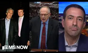 EPSTEIN FILES Vol. 3: 'All the President's Men' were All the Trafficker's Lawyers (Melber report)