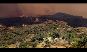 Prosecutors used ChatGPT logs as evidence in the Palisades fire trial — GLOBAL — Aslikannih