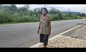 Cambodia's cassava farmers, traders struggle in wake of Thai conflict