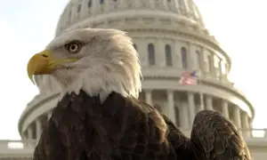 Trump administration rescinds key rule protecting endangered wildlife