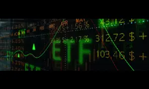 4 Incredible Vanguard ETFs That Can Serve as a Complete Portfolio