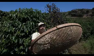 Trump lifts 40% tariff on some Brazilian food products