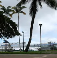 Lawsuit challenges Hawaii’s tourist tax on cruise industry aimed at climate change consequences