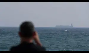 Two more S. Korean ships clear Hormuz