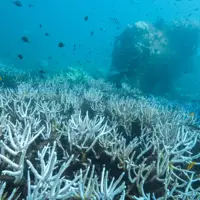 Climate-fighting efforts have ‘barely moved the needle,’ UN report finds