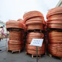 Copper To Enjoy Structural Bull Run, Bank of America Lifts Targets