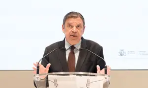 Spain scrambles to limit economic damage from African swine fever outbreak