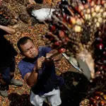 Singapore's Wilmar guilty of corruption in Indonesia palm oil case